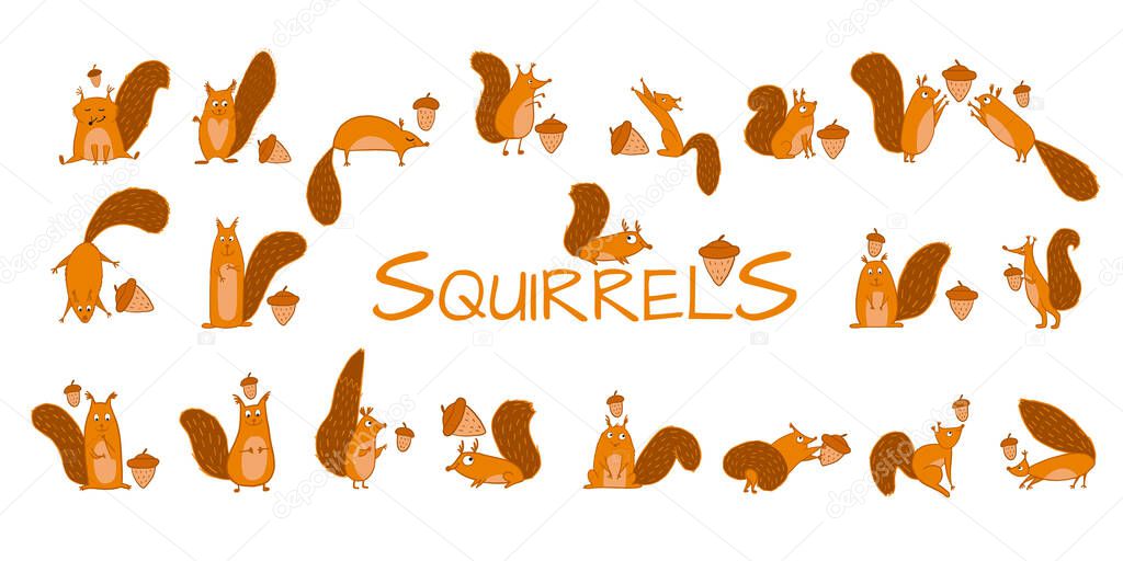 Funny squirrels with nut, collection for your design. Vector illustration