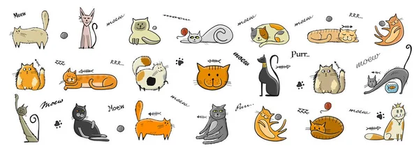 World Cats Day. Collection of cats character for your design — Stock Vector