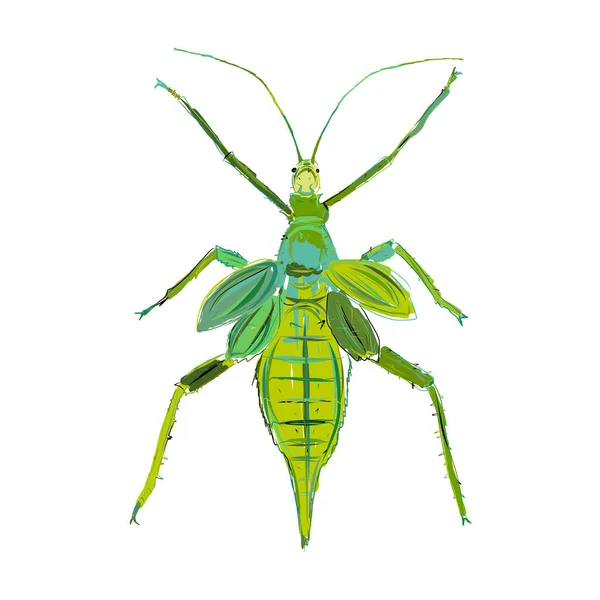 Esbozo de insecto verde. Aislado sobre blanco — Vector de stock