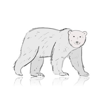 Polar Bear, sketch isolated on white background vector Polar Bear, sketch isolated on white background vector