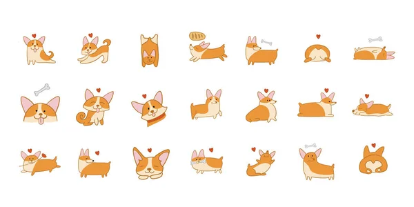 Juego de perros Corgi. Colección de cachorros divertidos. Boceto para su diseño — Vector de stock