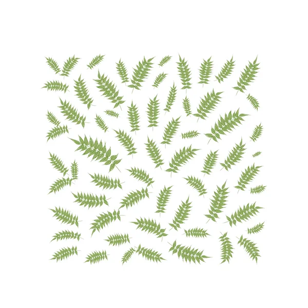 Cadre de feuille de printemps pour votre conception — Image vectorielle