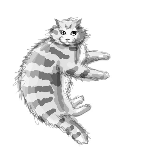 Chat gris mignon, croquis pour votre design — Image vectorielle