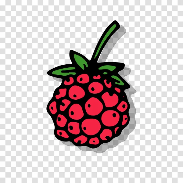 Croquis framboise sur fond transparent pour votre design — Image vectorielle