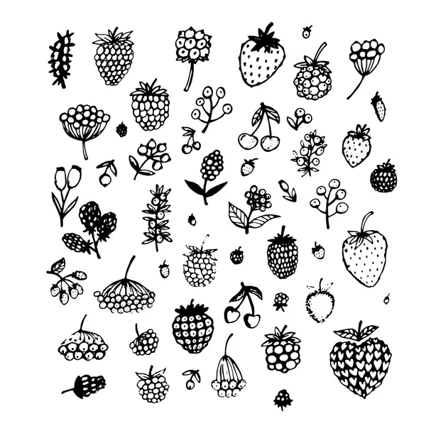 Berries collection, sketch for your design — Stock Vector