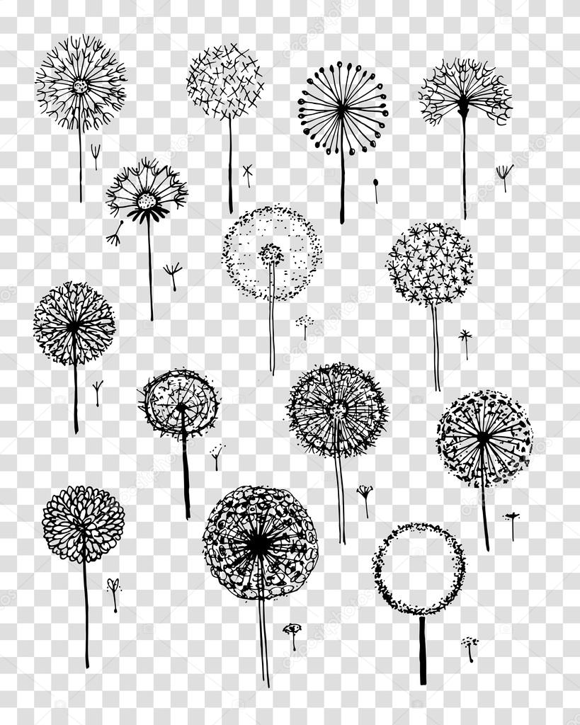Dandelions collection, sketch fro your design