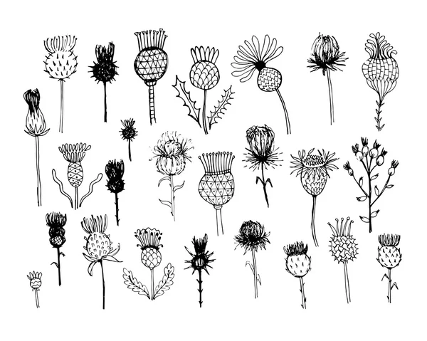 Collection de plantes d'agrimonie, croquis pour votre design — Image vectorielle