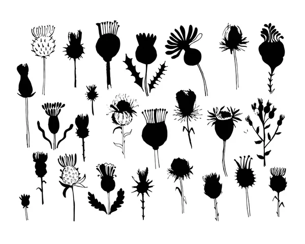 Småborre växter collection, skiss för din design — Stock vektor