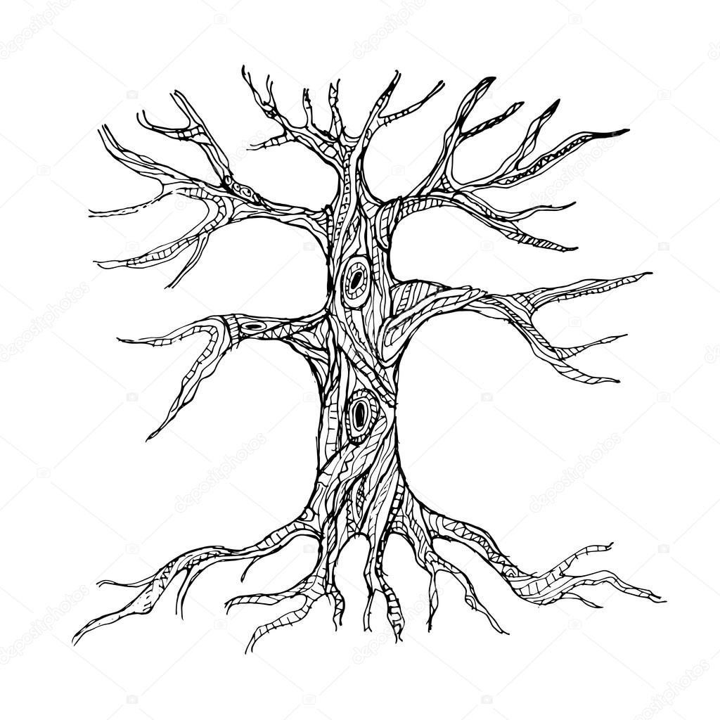 Dessin Arbre Racine Dessin Arbre Racines 1stepclinic