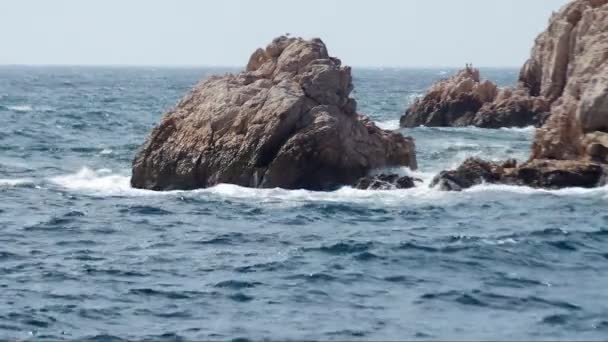 Onde dell'oceano — Video Stock