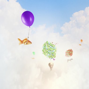 Balon balığı anında