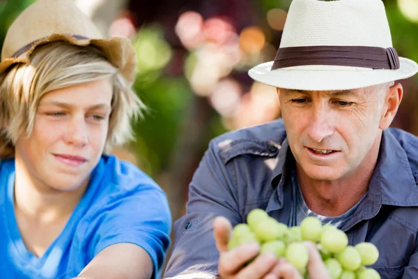 Père et fils dans la vigne — Photo