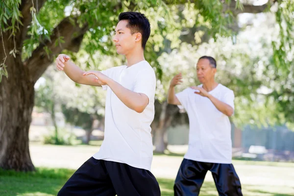 Lidé cvičí Tai-chi v parku Royalty Free Stock Fotografie