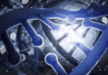 Biyoteknoloji genetik araştırma