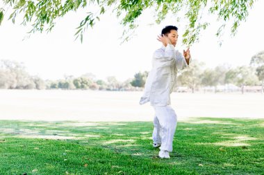 Yakışıklı adam Thai Chi yapıyor.