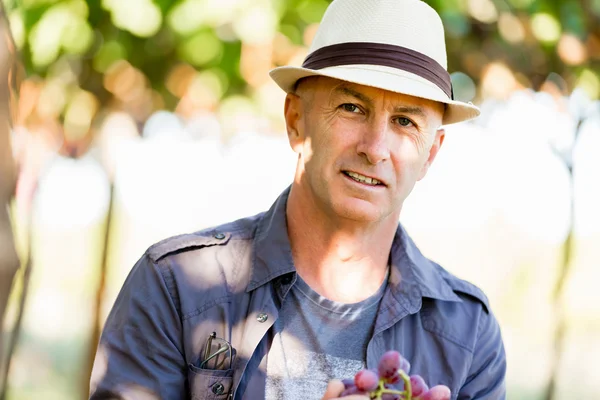 Homme debout dans la vigne — Photo