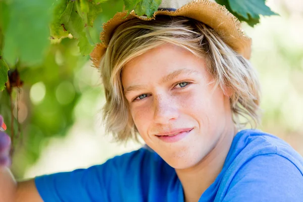 Garçon dans le vignoble — Photo