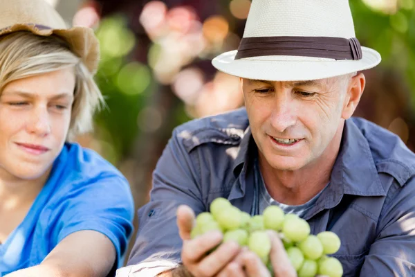 Père et fils dans la vigne — Photo