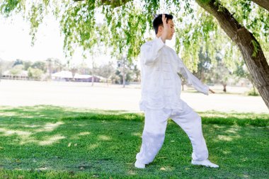 Yakışıklı adam Thai Chi yapıyor.