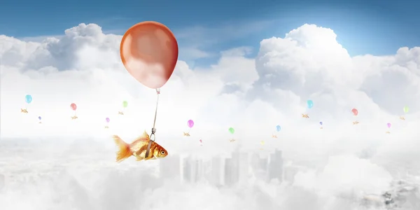 Goldfish fly on balloon — Stock Photo, Image