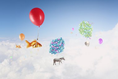 Balon balığı anında