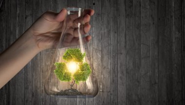 Cam şişeye ağacında