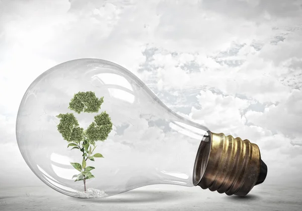 Reciclagem conceito verde — Fotografia de Stock