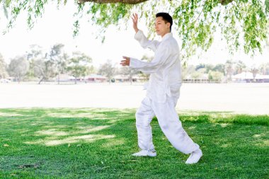 Yakışıklı adam Thai Chi yapıyor.