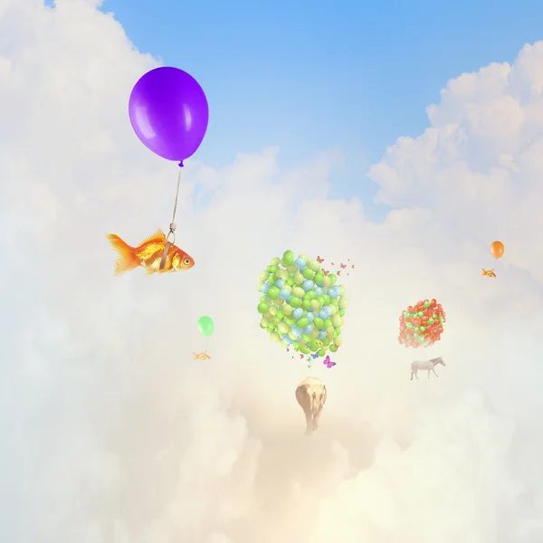 Zlaté rybky letět v balónu — Stock fotografie