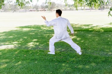 Yakışıklı adam Thai Chi yapıyor.