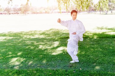 Yakışıklı adam Thai Chi yapıyor.