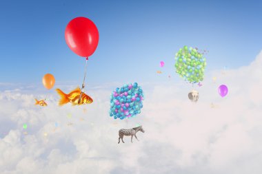 Balon balığı anında