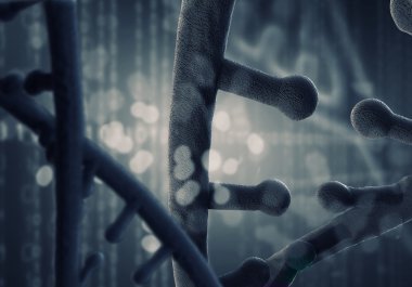 Biyoteknoloji genetik araştırma