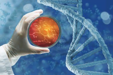 Biyokimya araştırma testi