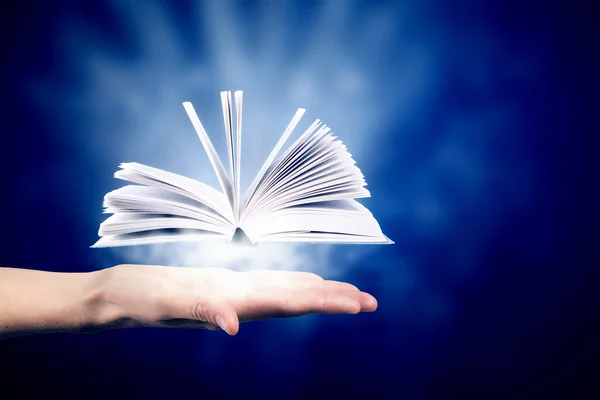 Lectura de libros concepto — Foto de Stock