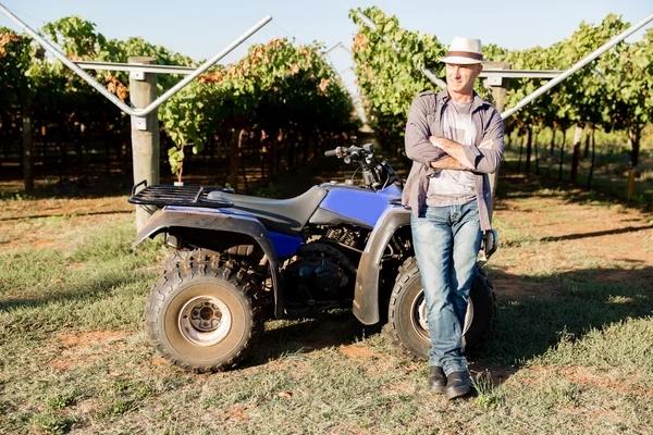 Homme debout à côté du camion dans le vignoble — Photo