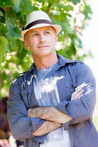 Homme debout dans la vigne — Photo