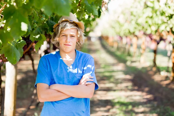 Garçon dans le vignoble — Photo