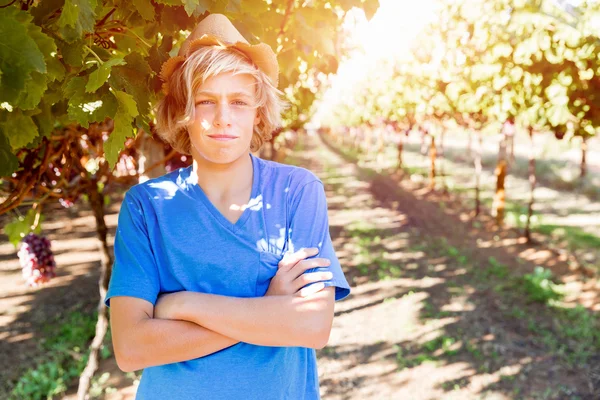 Garçon dans le vignoble — Photo