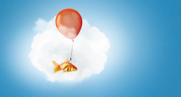 Goldfish voar em balão — Fotografia de Stock