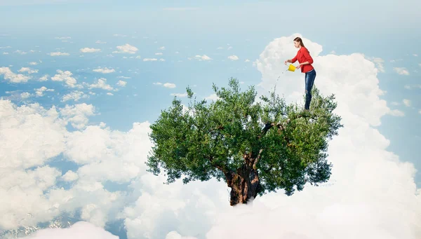 Conceito de agricultura e florestação — Fotografia de Stock