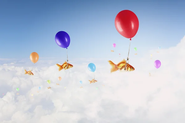 Goldfish fly on balloon — Stock Photo, Image