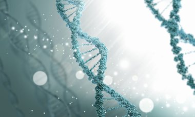 Biyoteknoloji genetik araştırma