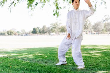 Yakışıklı adam Thai Chi yapıyor.