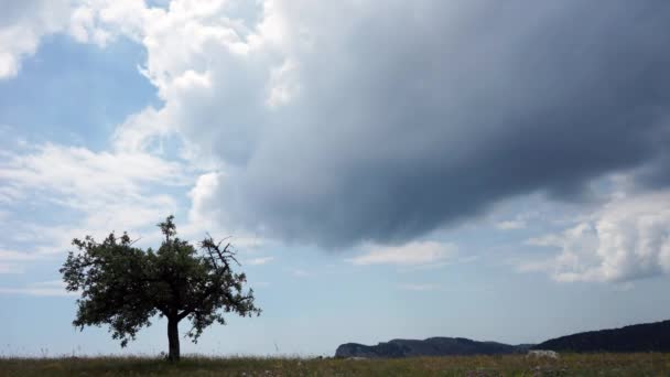 Piękną panoramę wzgórz i lasów — Wideo stockowe