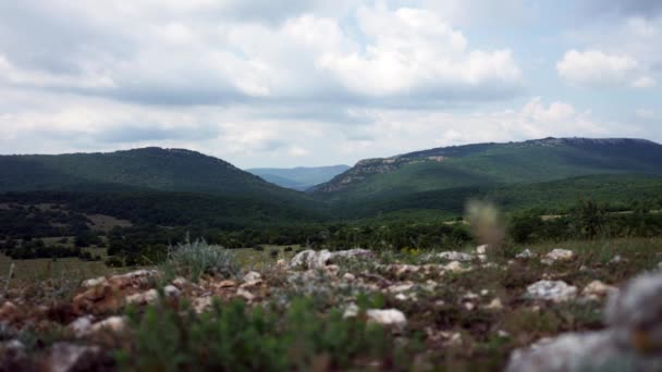 Красиві пагорби і панорама лісів — стокове відео