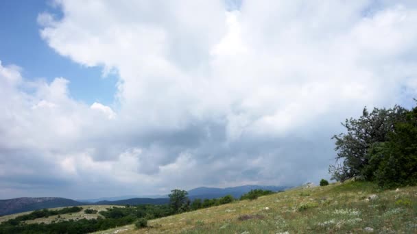 Vackra kullar och skogar panorama — Stockvideo
