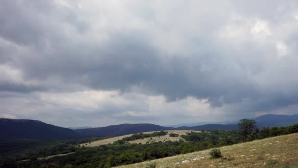 Vackra kullar och skogar panorama — Stockvideo