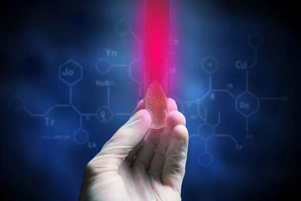 Ensayo de investigación científica — Foto de Stock