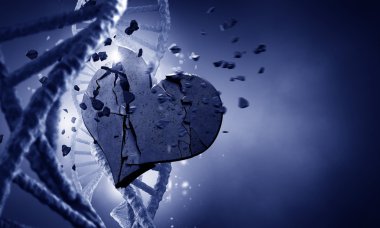 DNA molecule and heart clipart